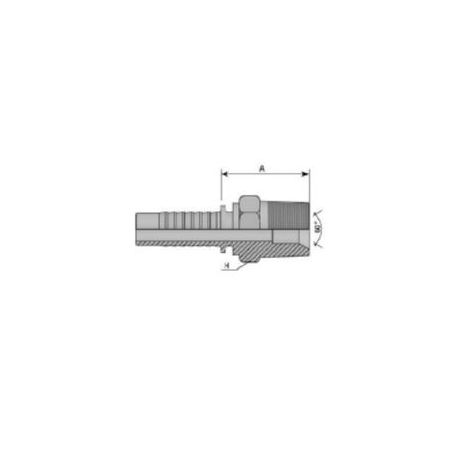 Embout mâle gaz conique - 1/8 MC - 28F - Ø Int. tuyau 6 mm - 1/4