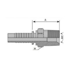 Embout mâle conique NPT - 1/8 MB - 28F  - Ø Int. tuyau 6 mm - 1/4