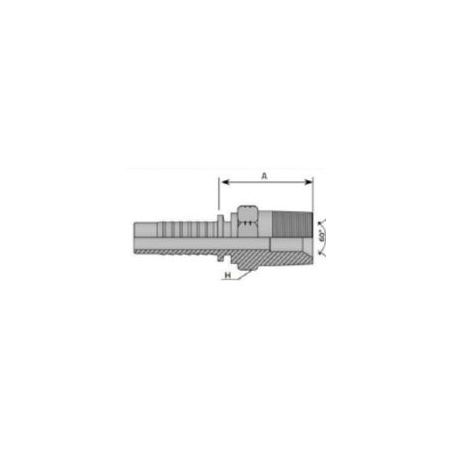 Embout mâle conique NPT - 1/8 MB - 28F - Ø Int. tuyau 6 mm - 1/4