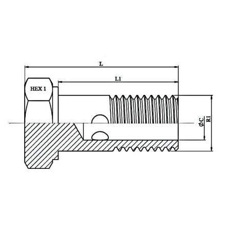 vis Ø M8x100 creuse simple hydraulique pour banjo Ø 08