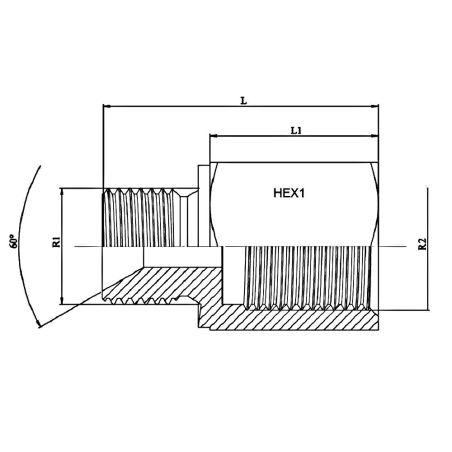 Prolongateur hydraulique M 60º - M - F Gaz fixe 1"1/2 BSP 1"1/2 BSP