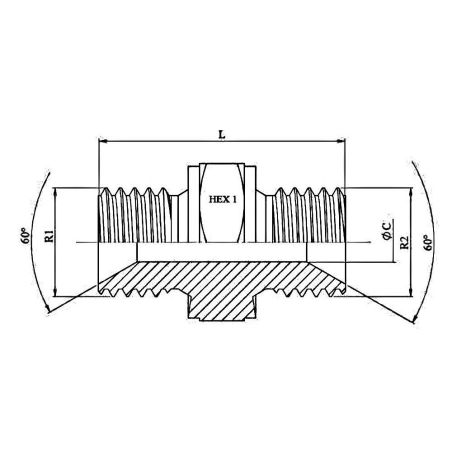 Union Double hydraulique MBSP - MBSP - Male MBSP 1/4 - Male MBSP 1/4 - H19