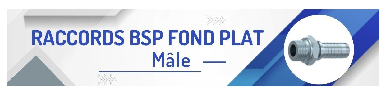 MBSP FOND PLAT