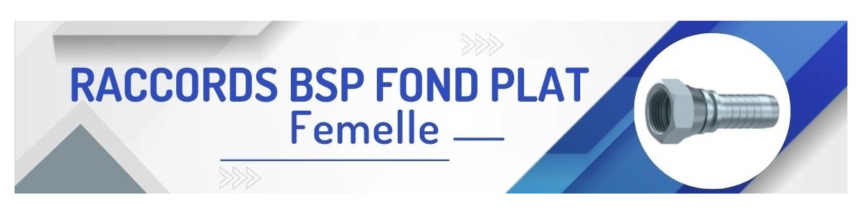 FBSP FOND PLAT